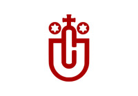 Logo des Partnerclubs Der Übersee-Club e.V.